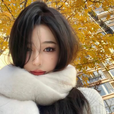 双子镇 封面